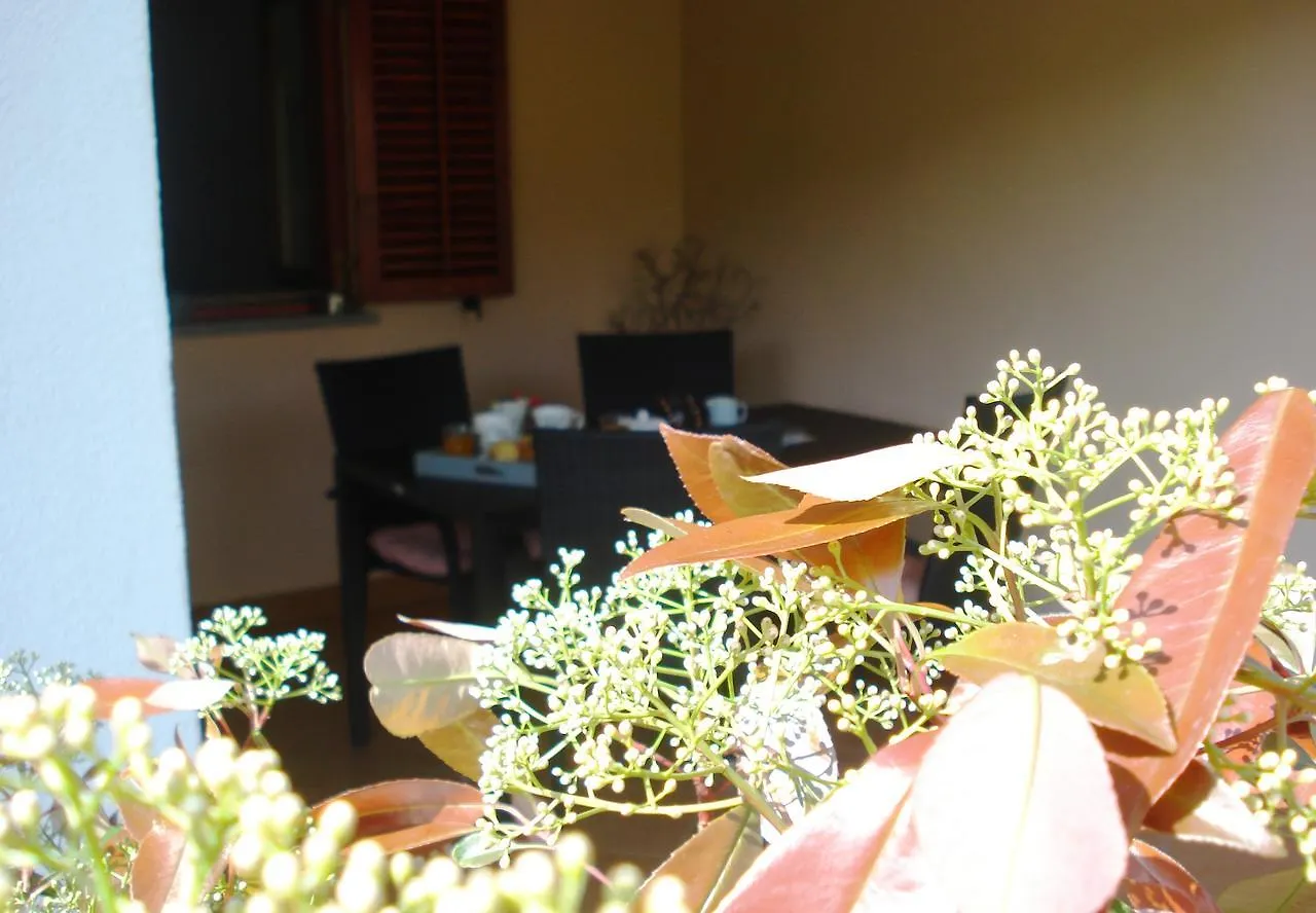 Studio Apartment Md Roč Chorwacja